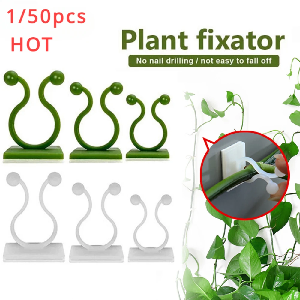 Plant Support Stake - 1/30/50 قطعة لملحقات الحدائق أواني حديقة