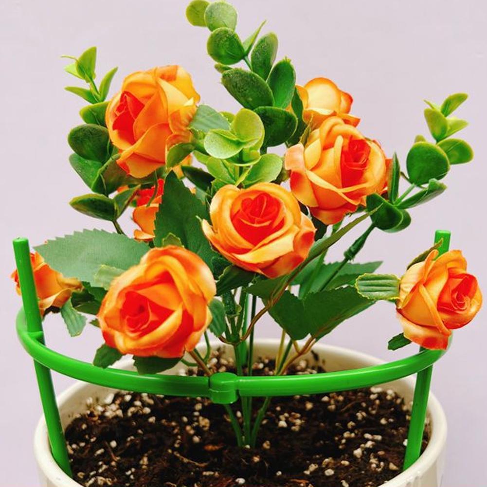 أقفاص الطماطم البلاستيكية، دعا - مراجعة Terracotta Pot وسعره