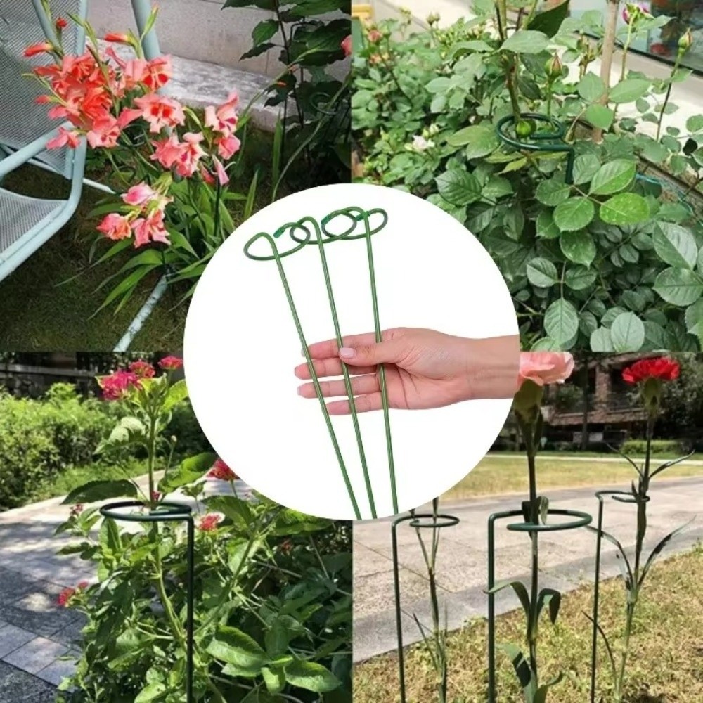 إطار معدني جديد مضاد للسقوط قا - مراجعة Plant Support Stake وسعره