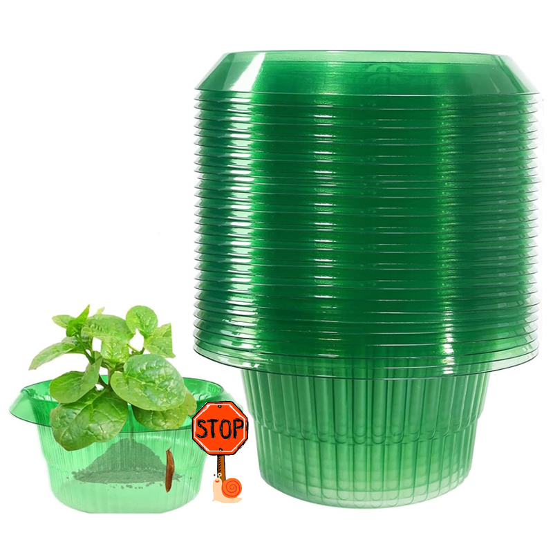 5-25 قطعة حلقات حماية سبيكة ال - مراجعة Terracotta Pot وسعره