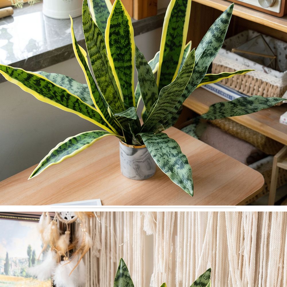 نبات أفعى اصطناعي واقعي من ماد - مراجعة Snake Plant وسعره