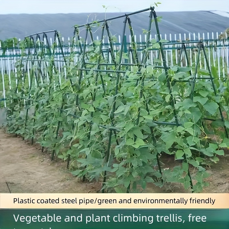 حصص حدائق متعددة الأغراض ، دعا - مراجعة Plant Support Stake وسعره