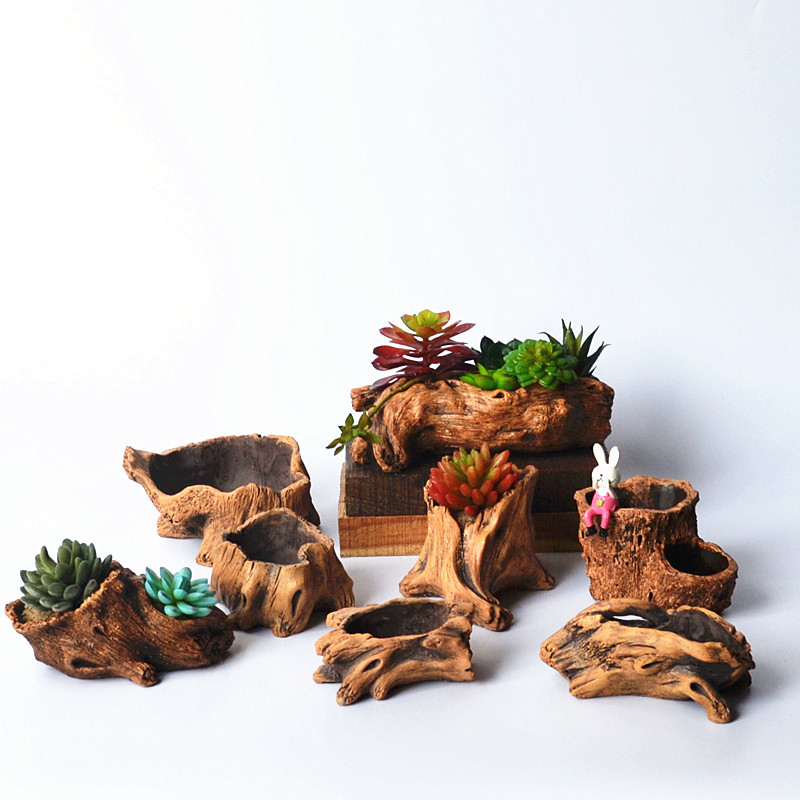 تقليد حصص خشبية جذور شجرة زراع - مراجعة Succulent Set وسعره