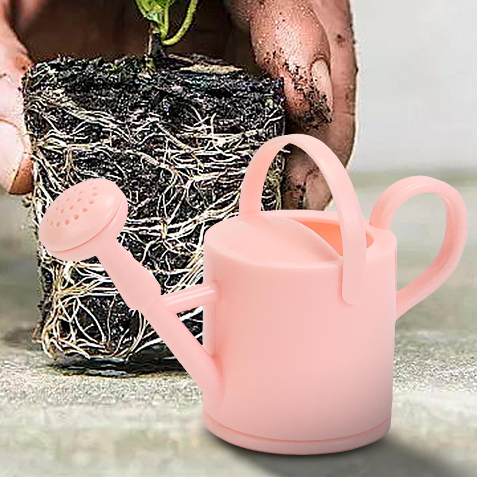 إبريق سقي صغير للأطفال، أداة م - مراجعة Succulent Set وسعره