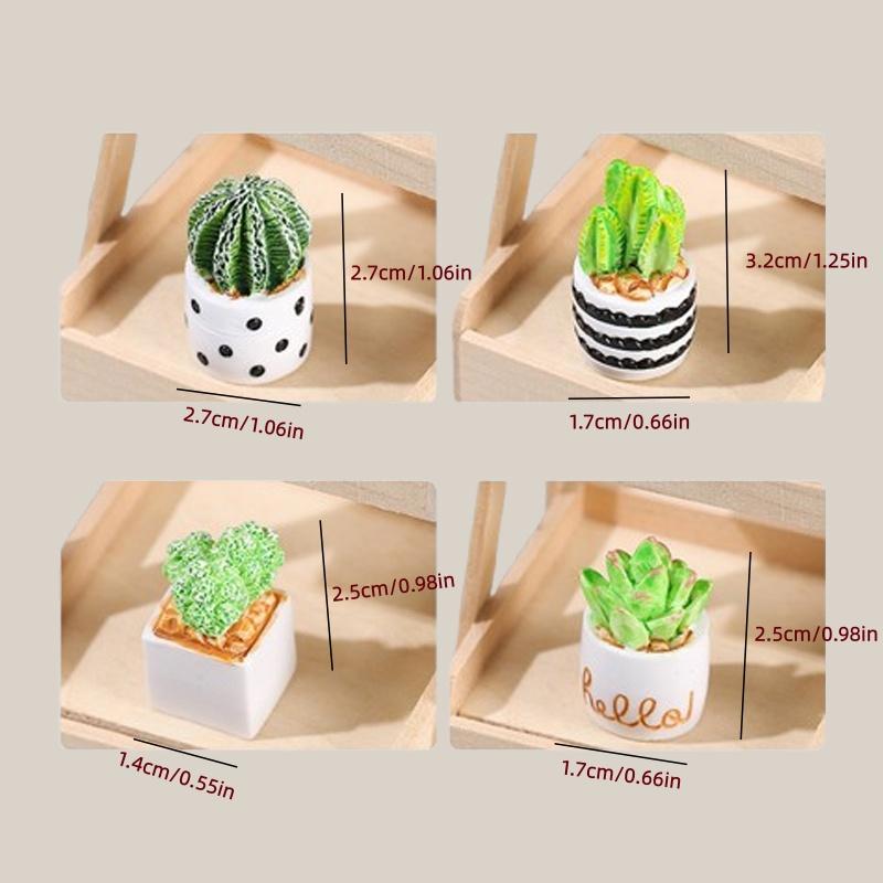 مجموعة من 4 قطع من نباتات الصب - مراجعة Succulent Set وسعره