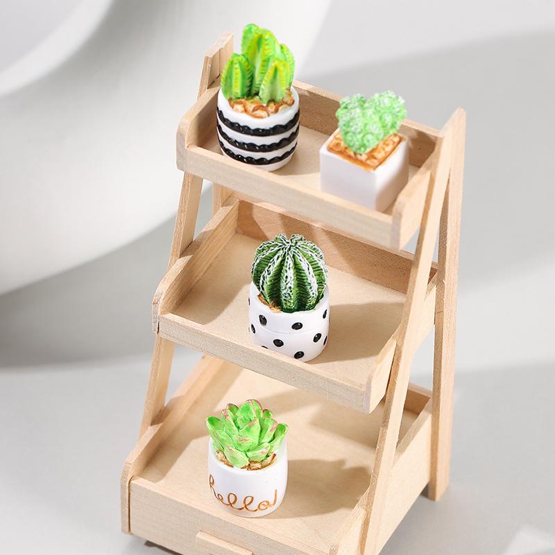 مجموعة من 4 قطع من نباتات الصب - مراجعة Succulent Set وسعره