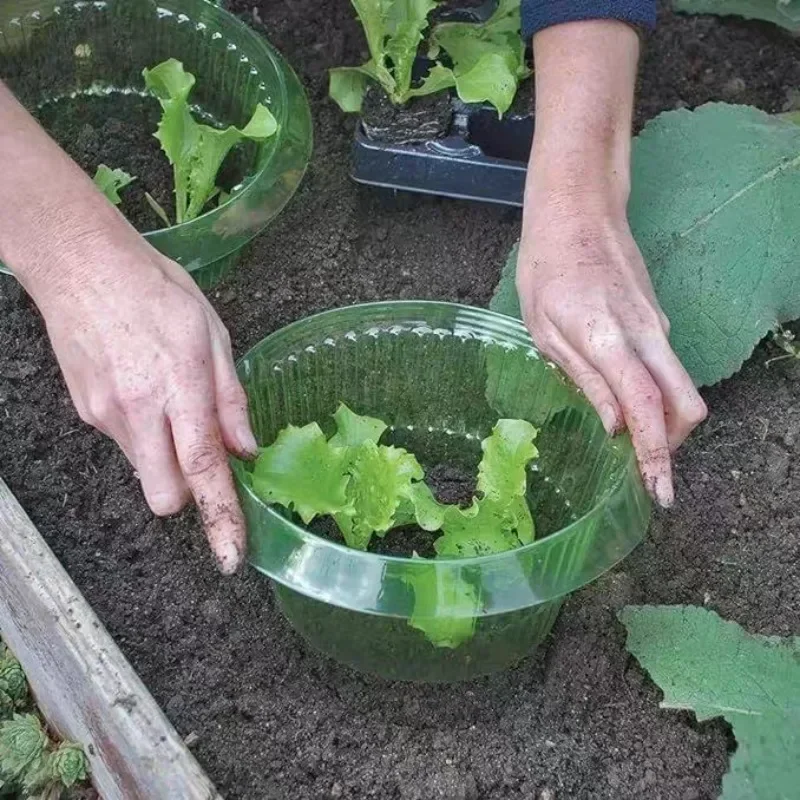 حلقات حماية سبيكة النباتات غطا - مراجعة Terracotta Pot وسعره