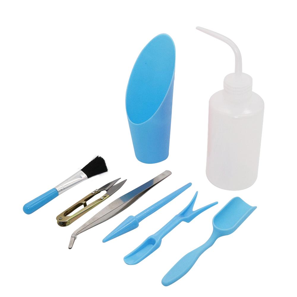حديقة صغيرة زرع عدة زرع النبات - مراجعة Succulent Set وسعره
